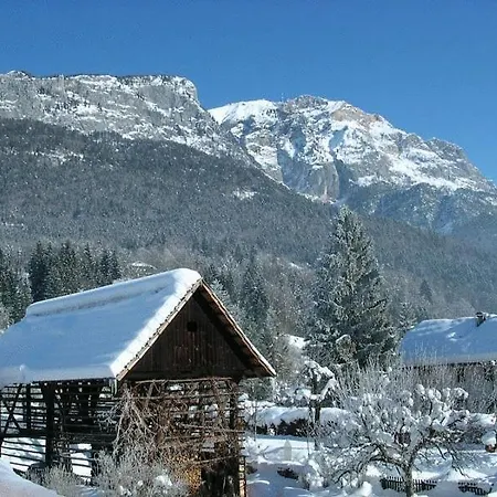 Hotel Marko 3*