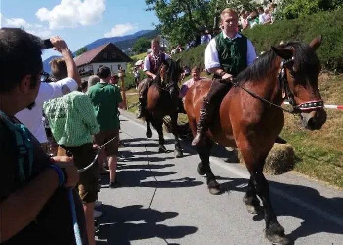 فندق Marko Nötsch