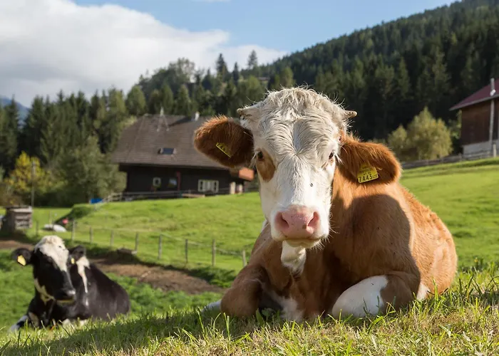 فندق Marko Nötsch